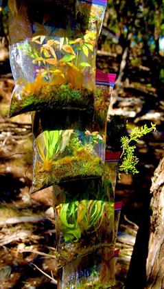Austin Land Artist